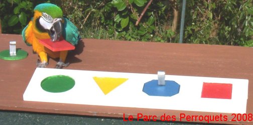 Puzzle 4 couleures